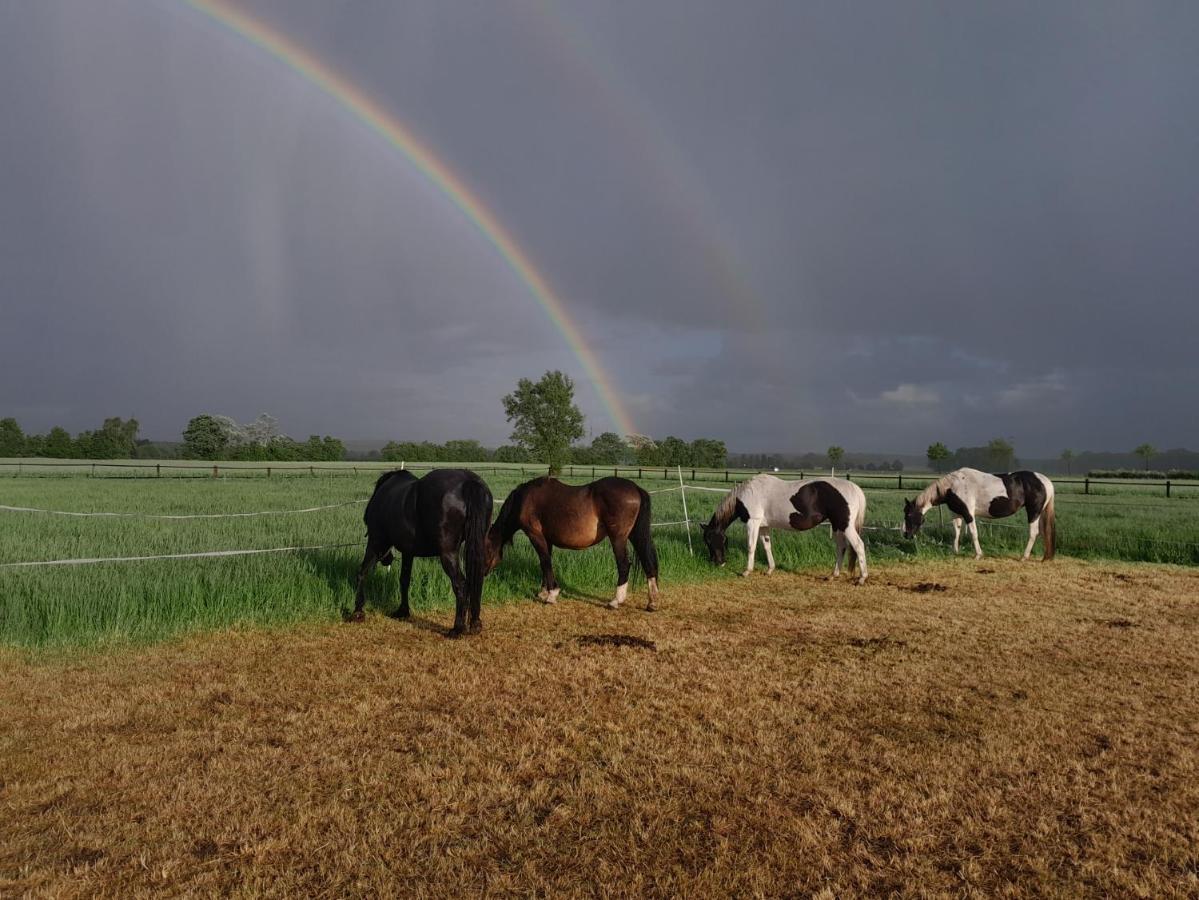 Ferienhof Wikner Bruchhausen-Vilsen Exteriér fotografie
